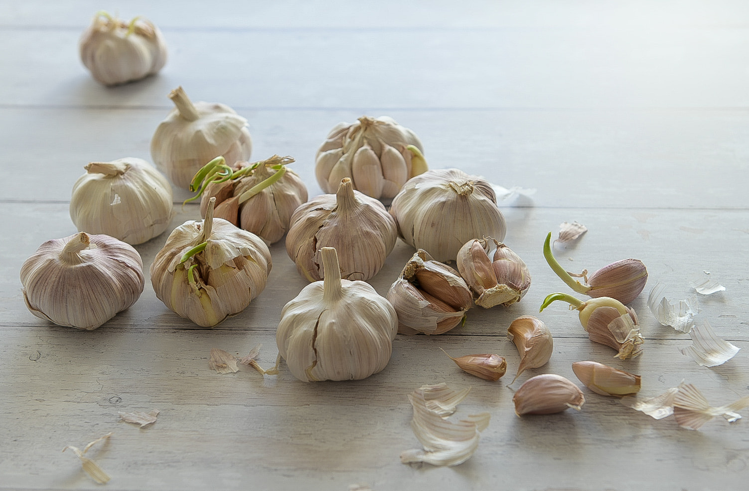 Garlic bulbs on the floor